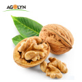 hand picking high quality Chinese xinjiang walnut with shell